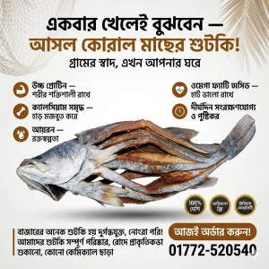 কোরাল মাছ