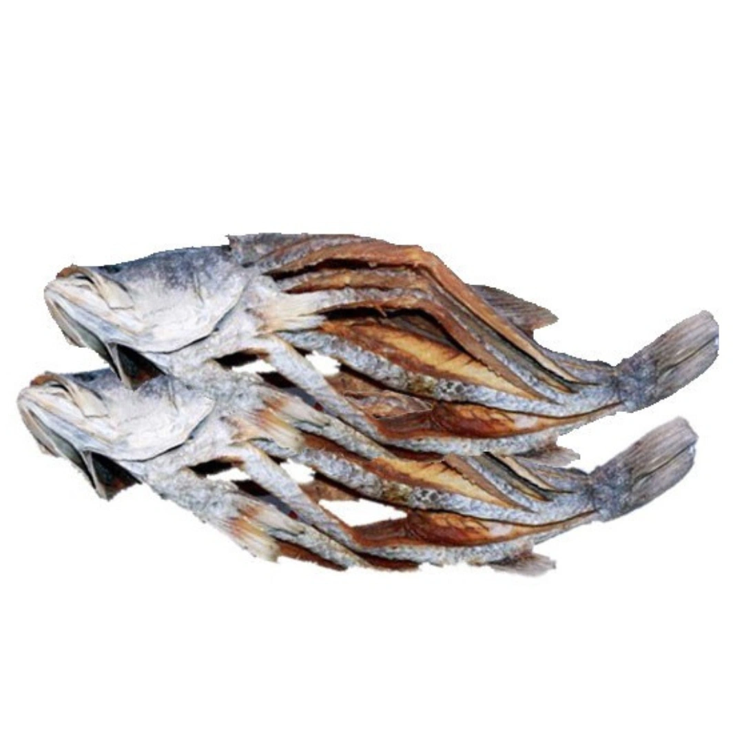 কোরাল মাছ - Image 4