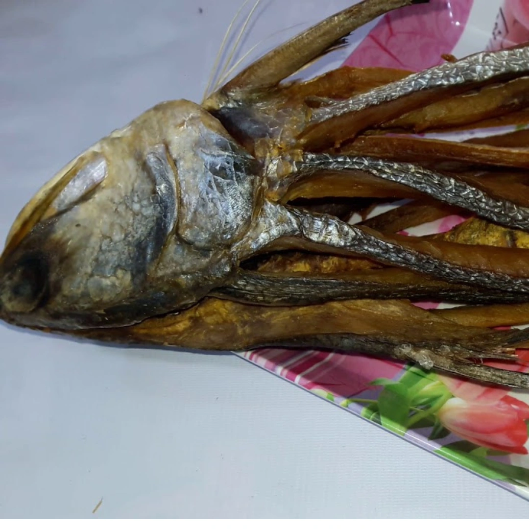 কোরাল মাছ - Image 2