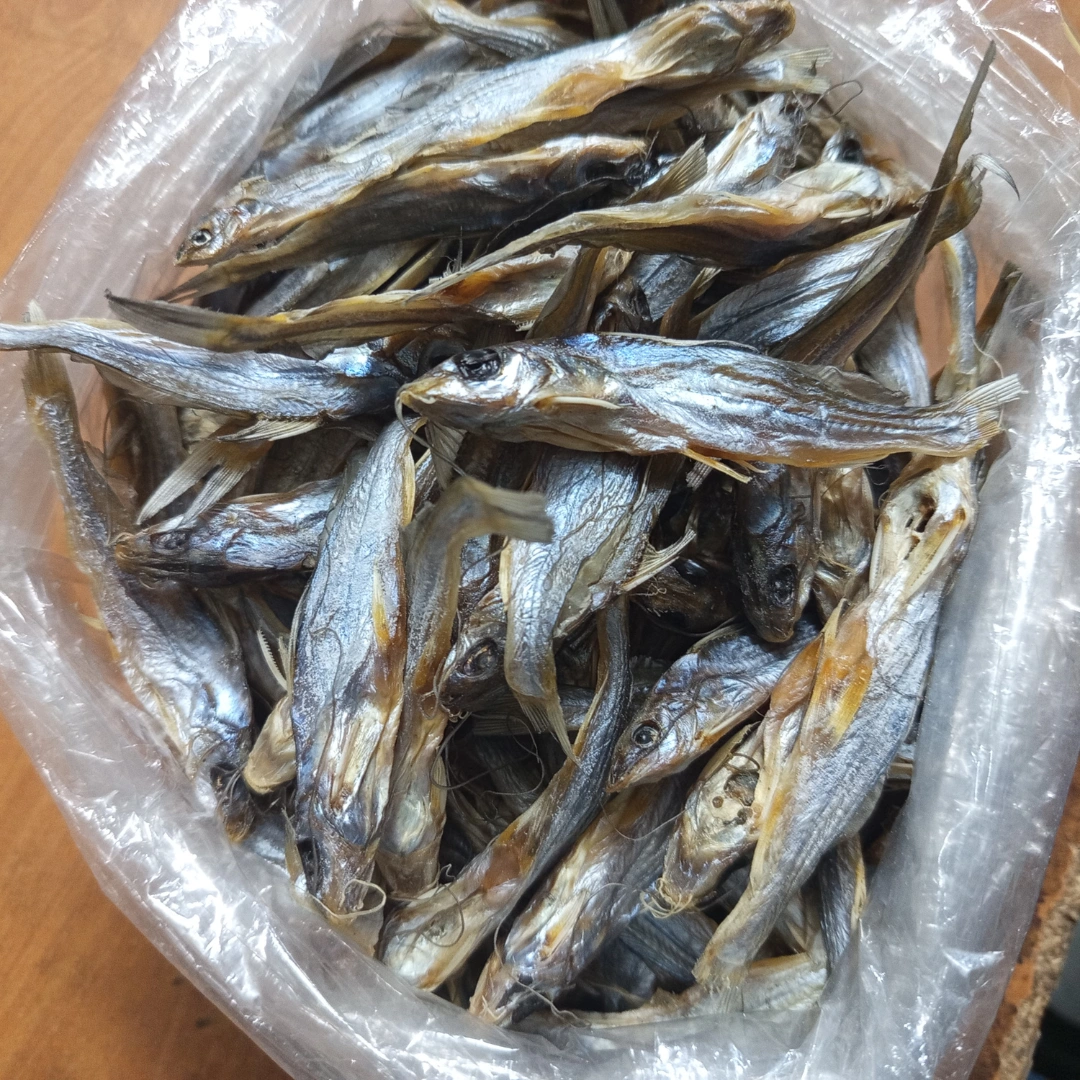 গলসা + মলা + কাচকি (কম্বো প্যাক) - Image 4