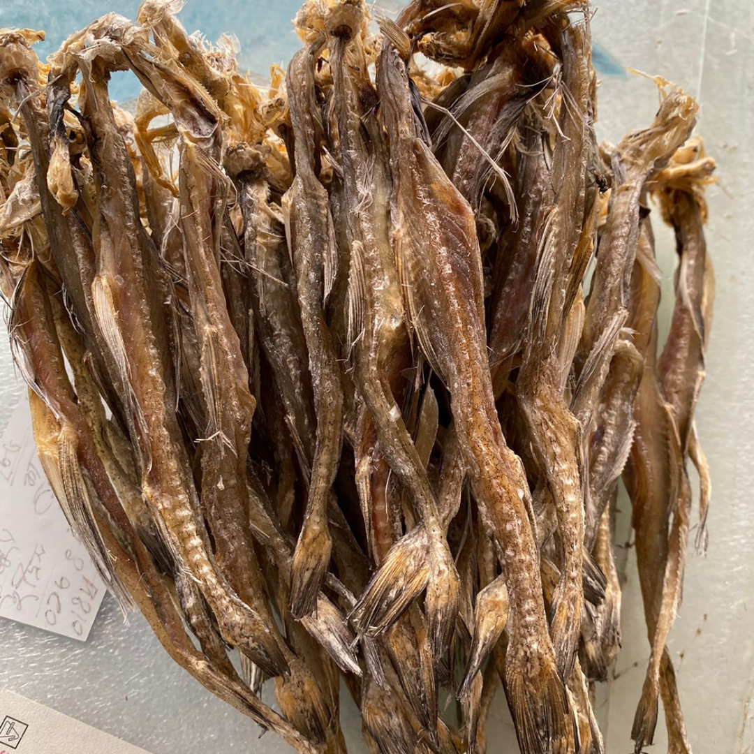 লইট্টা শুটকি (জাহাজে শুকানো) - Image 2