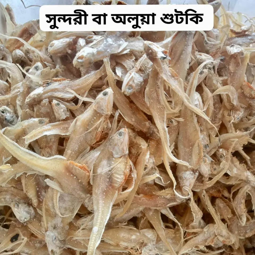 সুন্দরী শুটকি মাছ